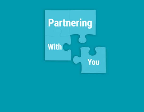 Dynamics 365 Partners