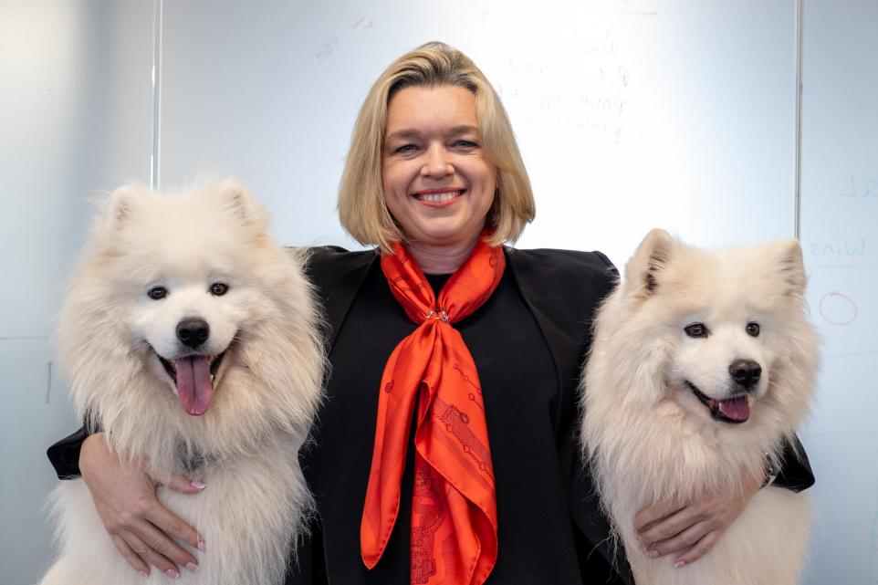 Happy business leader with two fluffy dogs - dog-friendly office