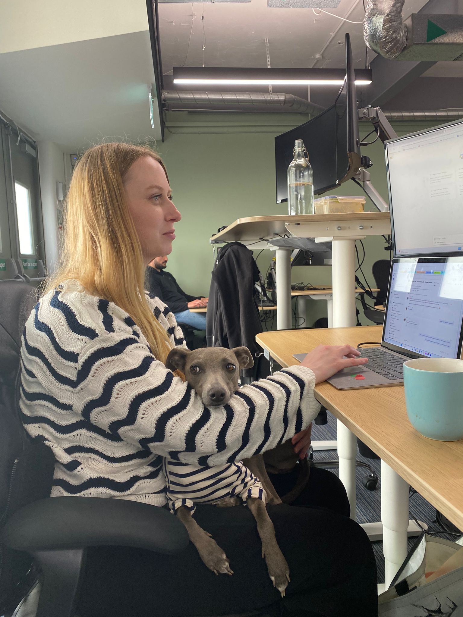 greyhound dog and employee at desk