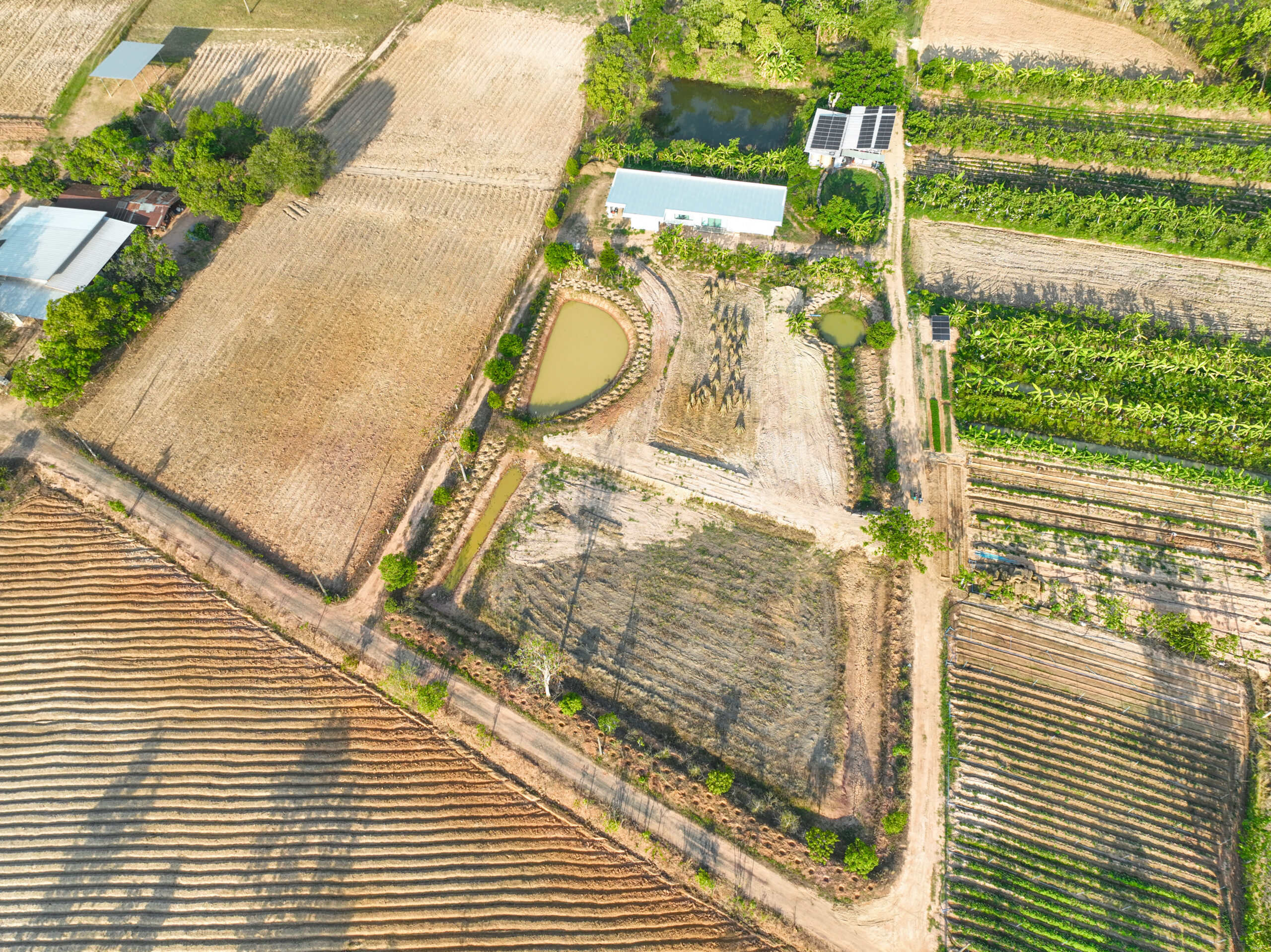 Sustainable farmland with irrigation ponds, vegetable plots, banana cultivation, and farmhouse buildings in a rural countryside. Agricultural production. Land management. Sustainable agriculture.