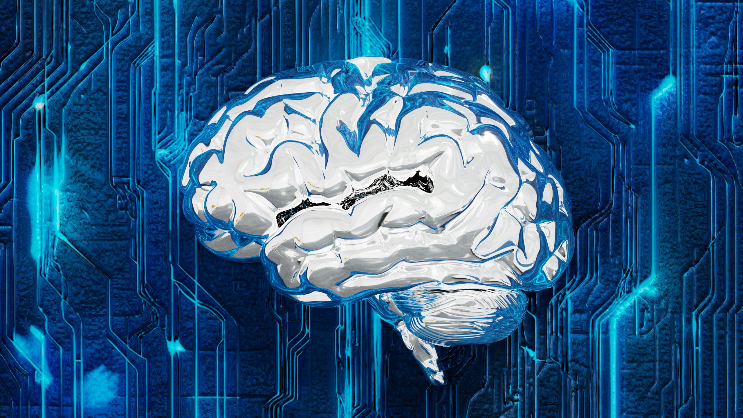 computer circuit with brain
