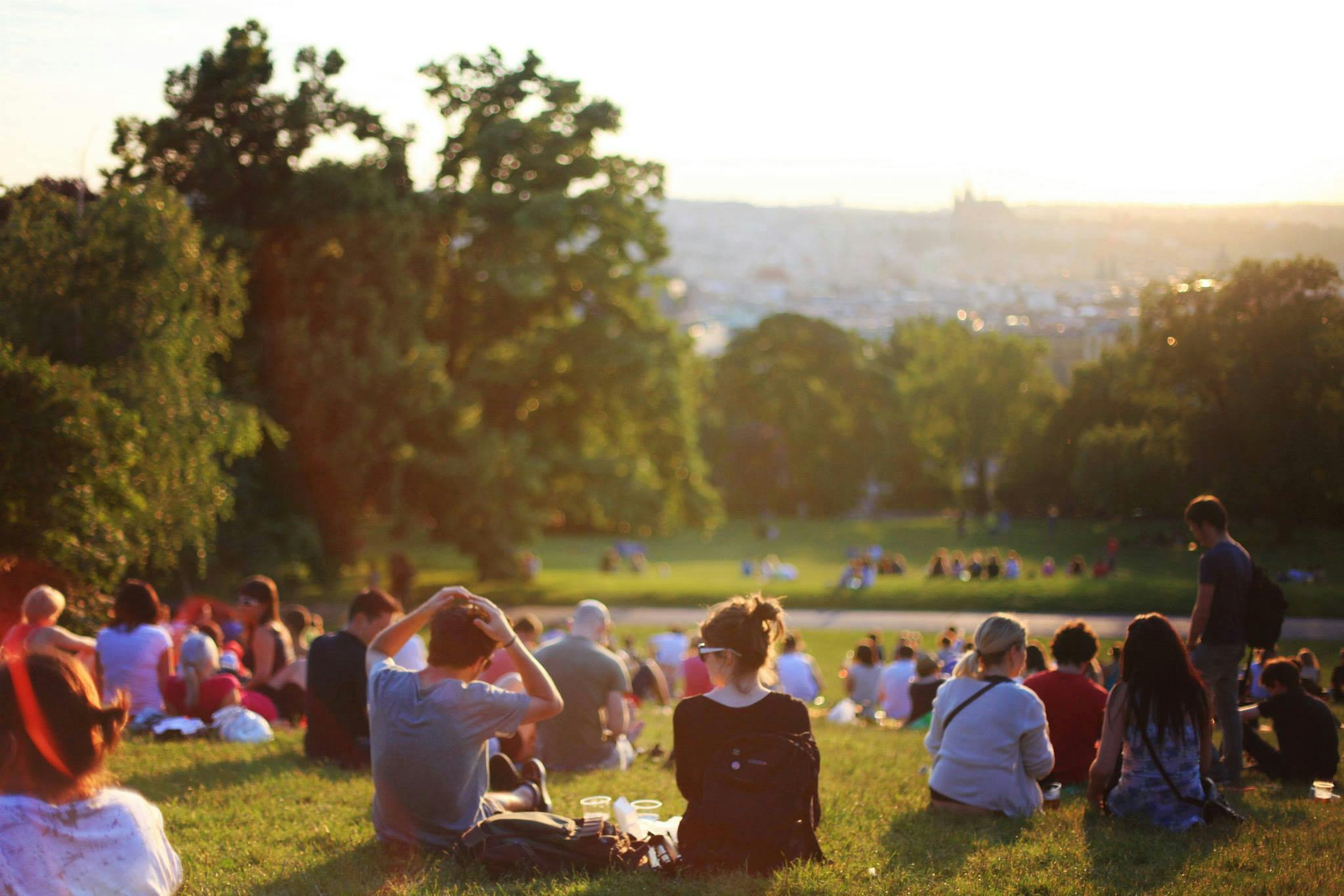 people sat on a grass hill in the sun