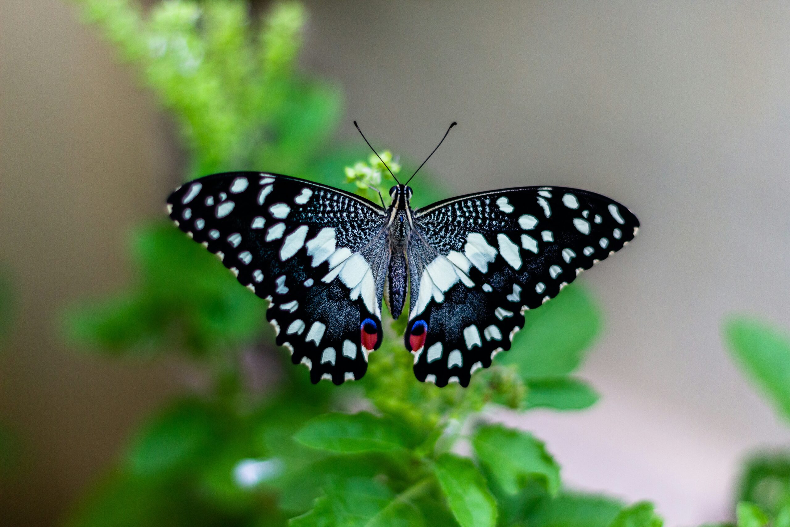 vivek-doshi-PNXnfta-6-4-unsplash-scaled