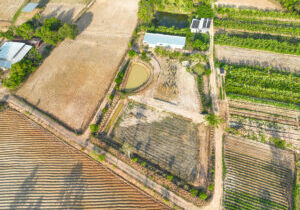 Sustainable farmland with irrigation ponds, vegetable plots, banana cultivation, and farmhouse buildings in a rural countryside. Agricultural production. Land management. Sustainable agriculture.
