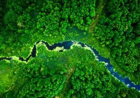 Amazing blooming algae on green river, aerial view